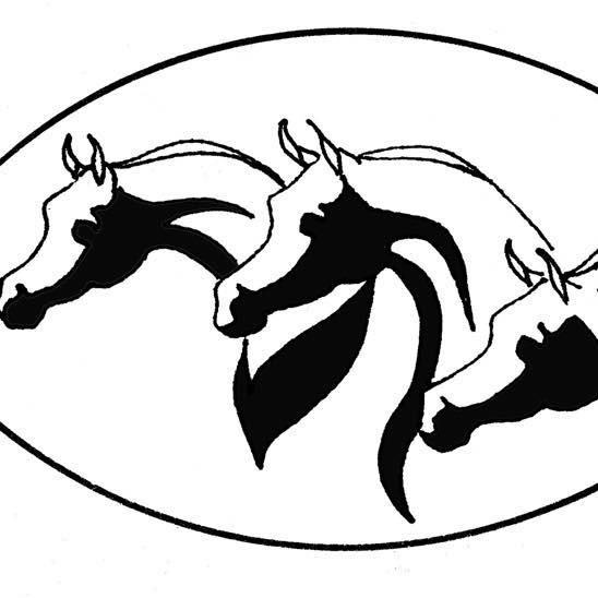 Two Horses in Black Color on a White Background