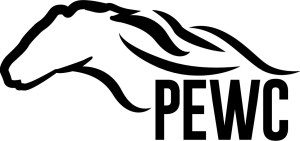 Pewc logo on a white background.