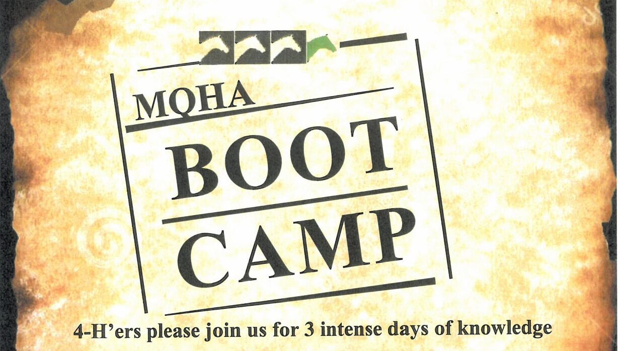 Moha boot camp flyer.